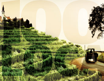 Mount Babylone Wine Label And sparkling wine range label design crest silver foiling